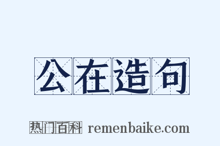 公在造句是什么意思的图片